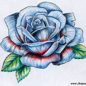 Meet your Posher, Rose